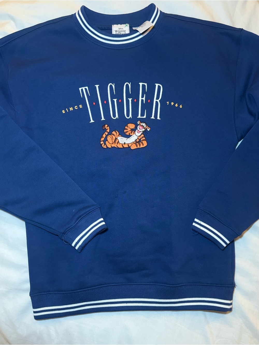 Disney Winnie the Pooh Tigger Sweatshirt XS